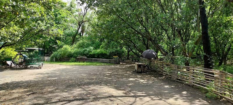Freedom Island Nature Trail - Image 2