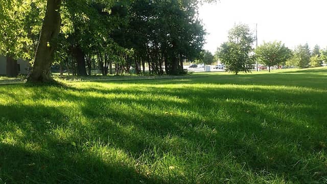 Ryan Flood Memorial Park - Image 1