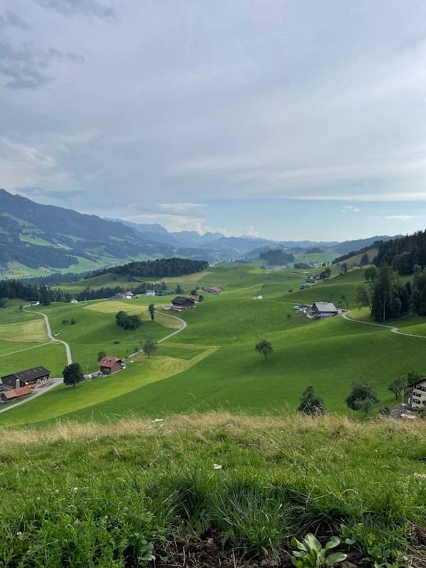 Panorama - Image 1