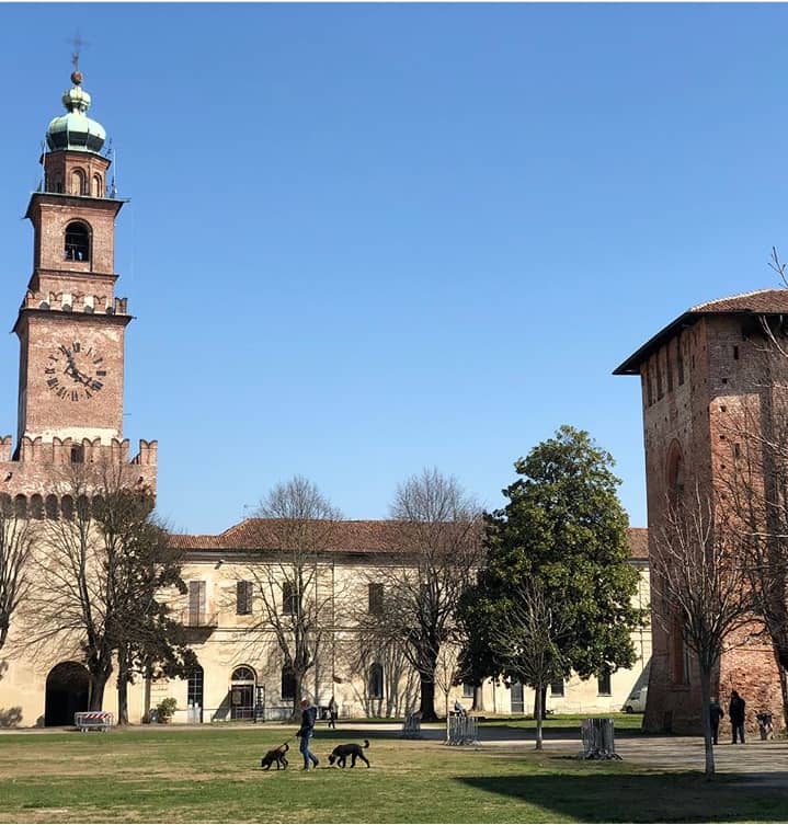Visconti-Sforza Castle - Image 2