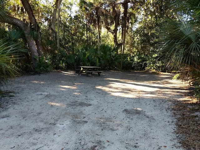 Tomoka State Park Campground - Image 2