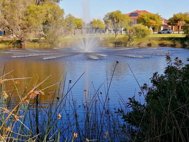 Yalgan Pass Park - Image 2