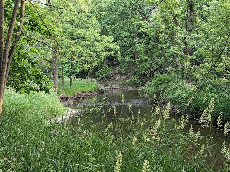 Middle Branch Trail - Image 2