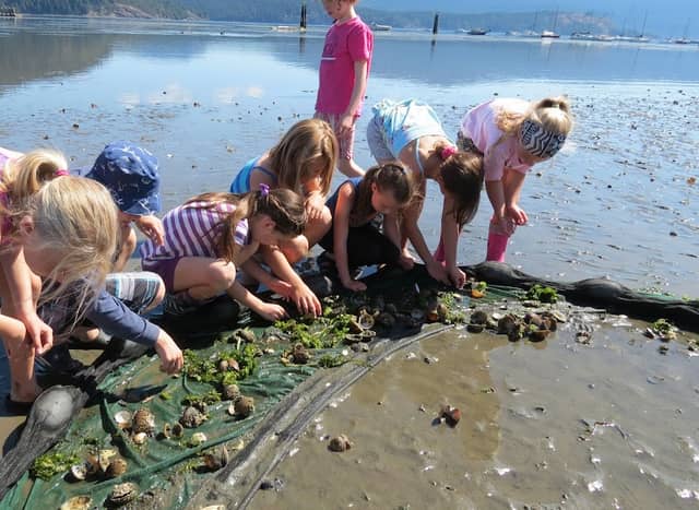 Cowichan Estuary Nature Centre - Image 3
