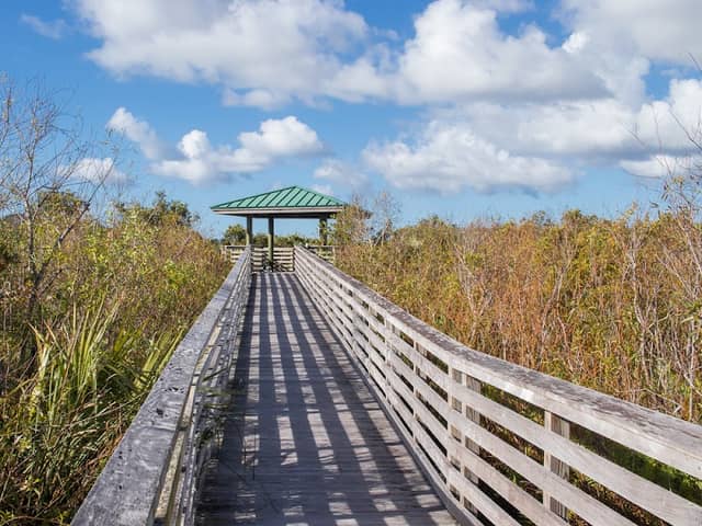 Juno Dunes Natural Area - Image 2