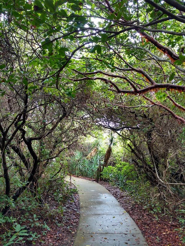 Juno Dunes Natural Area - Image 3