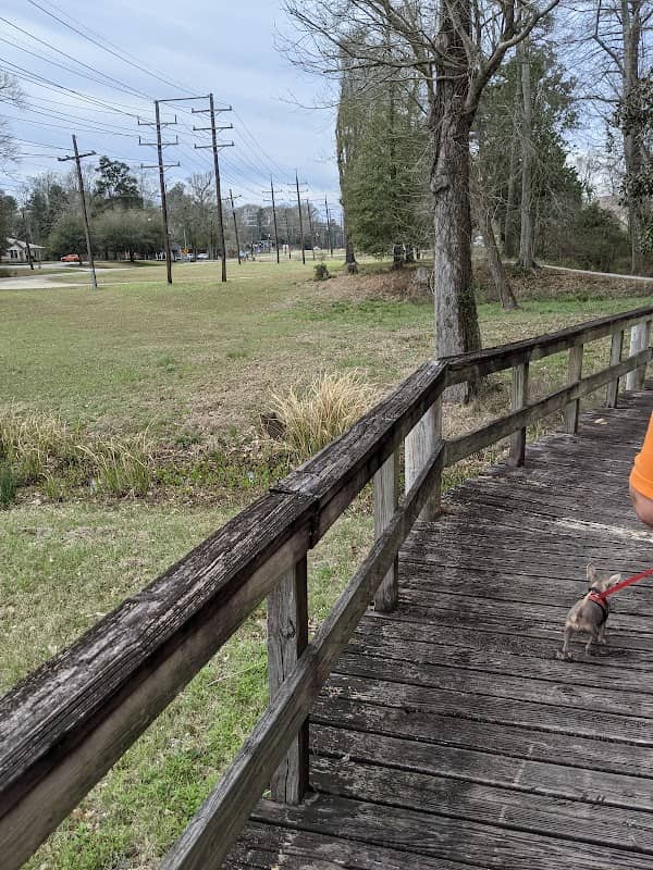Bogalusa nature trail - Image 2