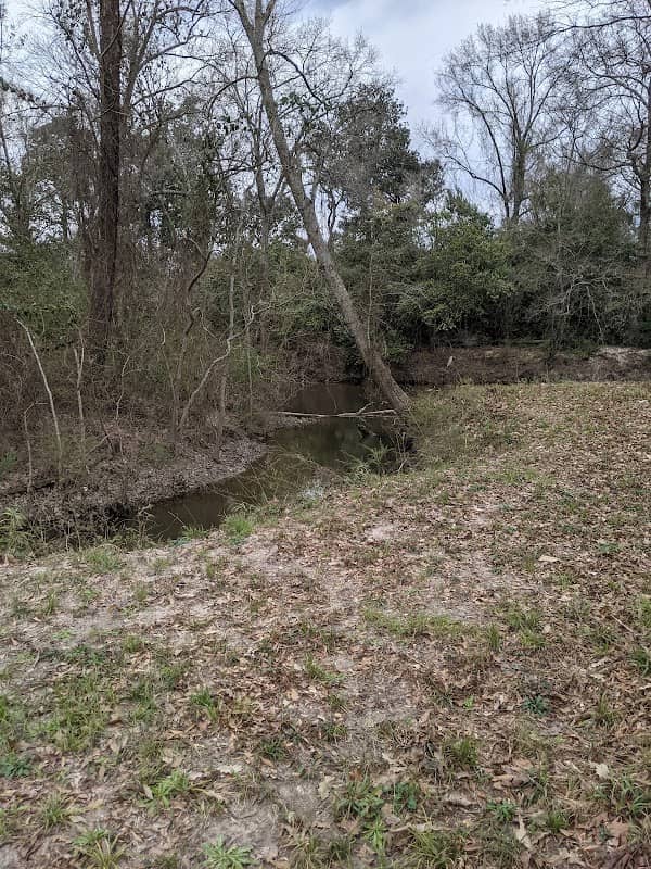 Bogalusa nature trail - Image 1
