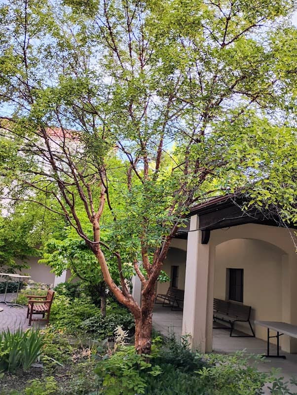Stenard Memorial Garden - Image 1