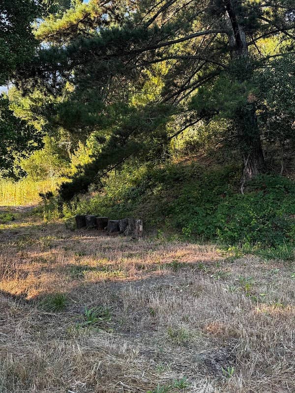 Goodfellow Trail - Image 2