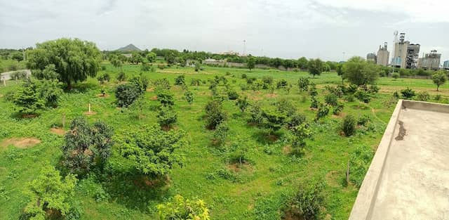 Baitadiya agriculture farm asalpur jobner - Image 1