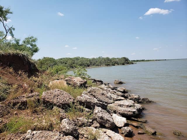 Bird island - Image 1
