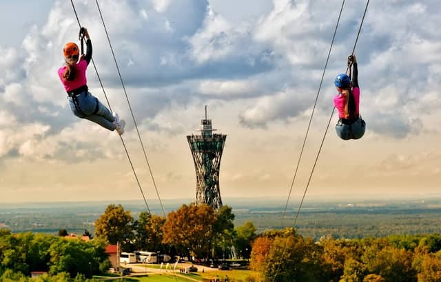 Vinarium zipline - Image 2