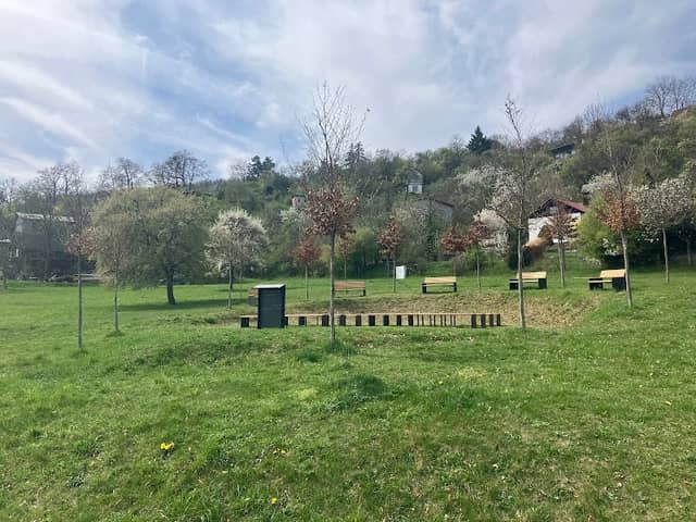 Stromová kaple věčného pramene - Image 1