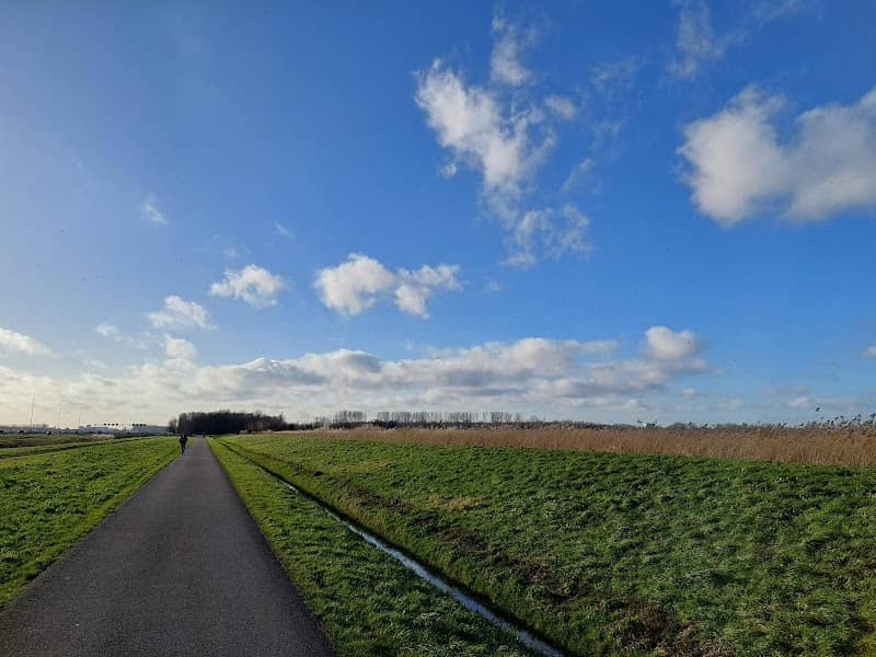 Vogelplas Starrevaart - Image 1