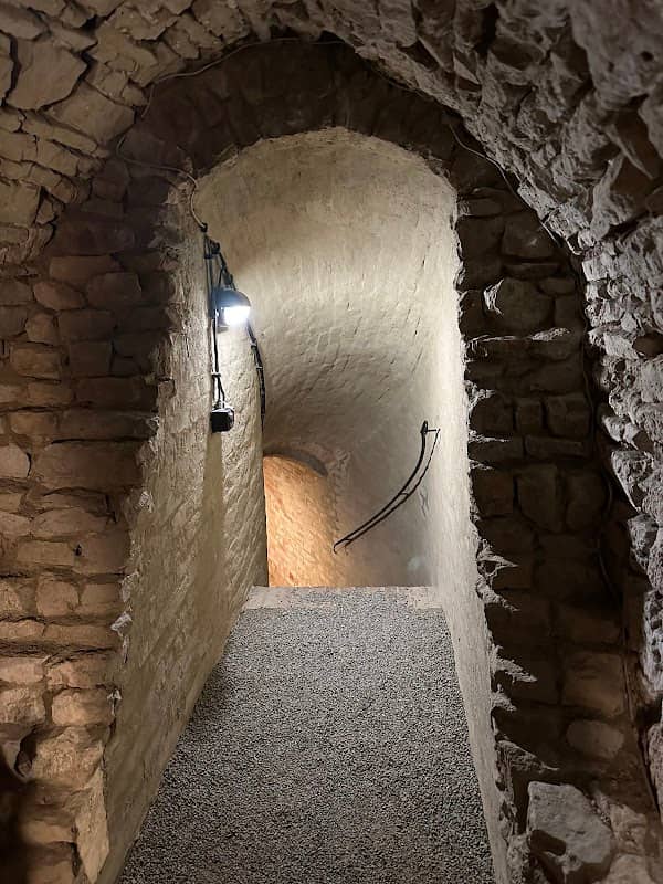Museumshöhler Gera - Image 2