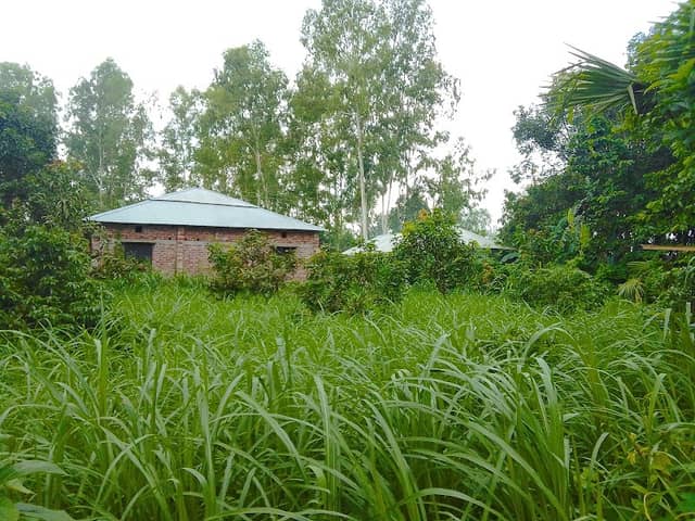 Swadhin Agro - Image 1