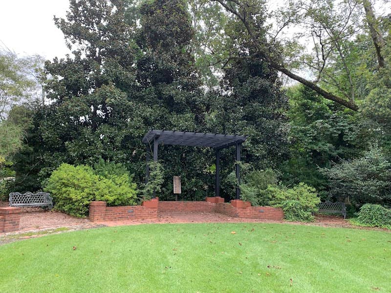 Alice Park - Image 3
