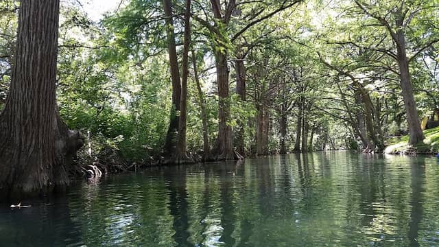 Cypress Creek Nature Preserve - Image 2