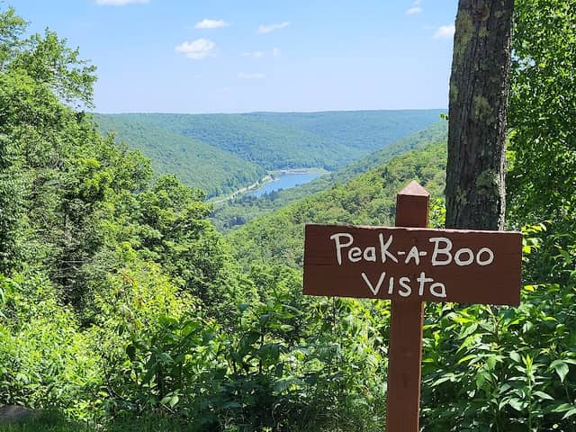 Peek-A-Boo Vista - Image 1