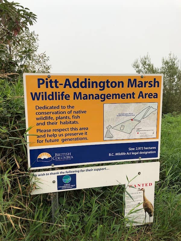 Grant Narrows Park at Pitt–Addington Marsh Wildlife Management Area - Image 1