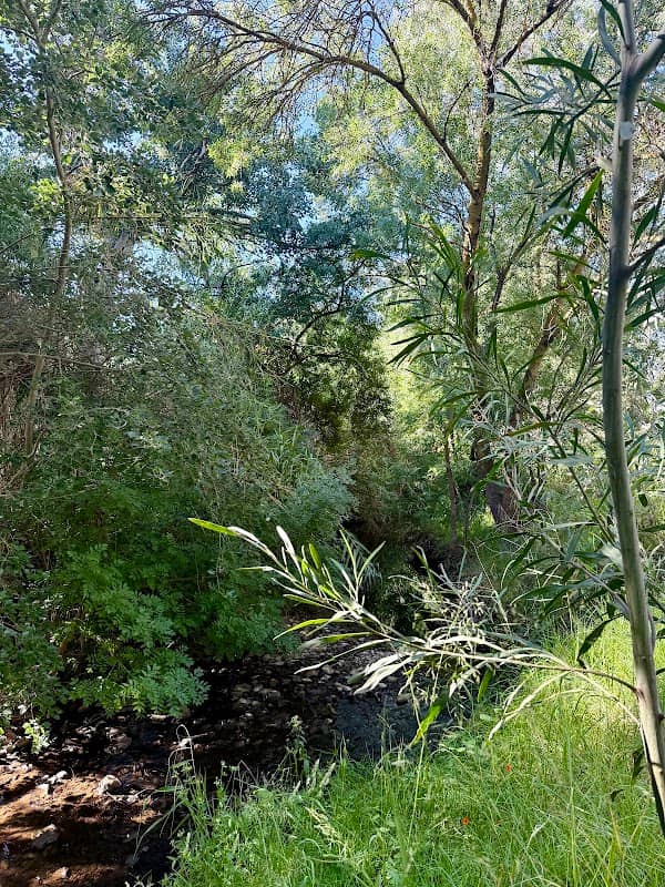 Riverside Reserve - Image 1