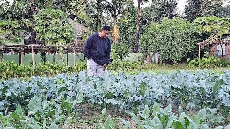 Khan Organic farm ,Jotigaon,Barpeta - Image 1