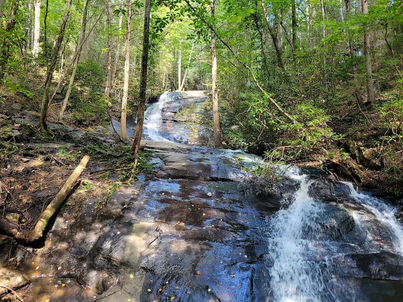Fall Branch Falls - Image 1
