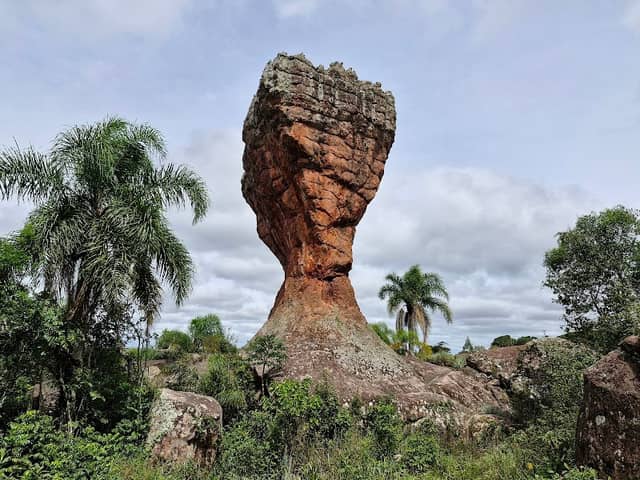 Taça - Image 1