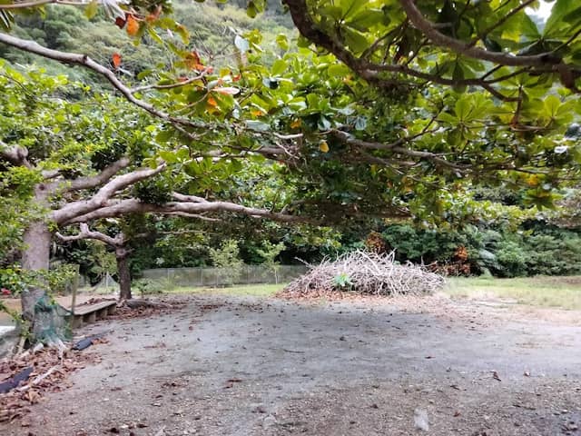 Okunoson Park - Image 2