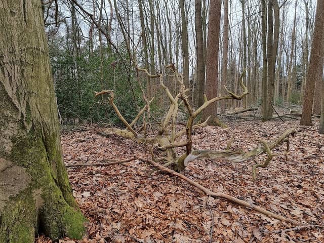 Haversberg Nature Reserve - Image 1