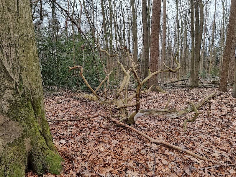 Haversberg Nature Reserve - Image 1