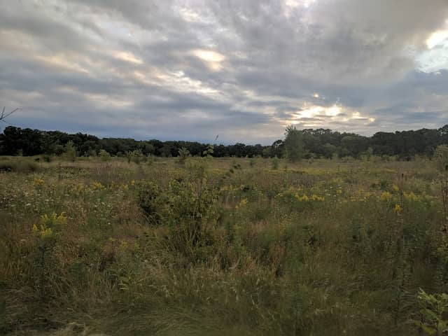 Waukegan Savanna Forest Preserve - Image 2