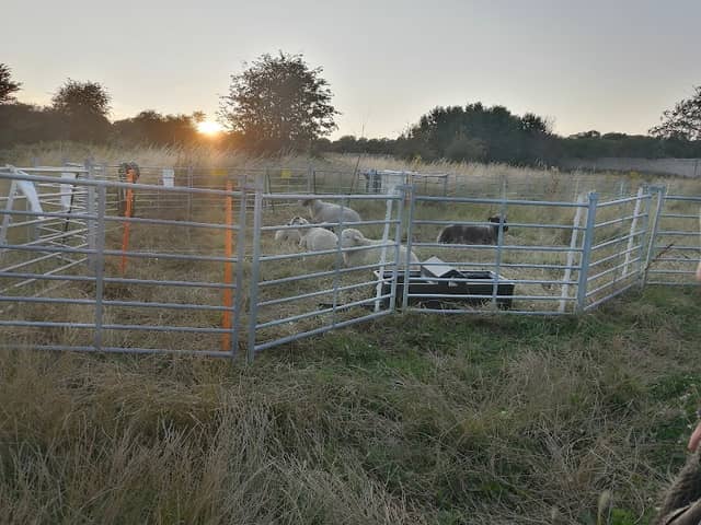 Malthouse Meadows - Image 2