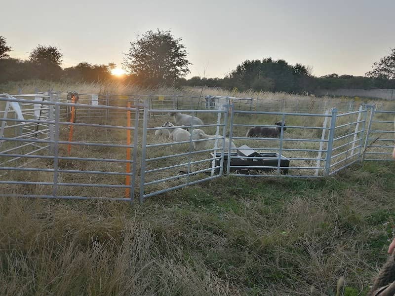 Malthouse Meadows - Image 2