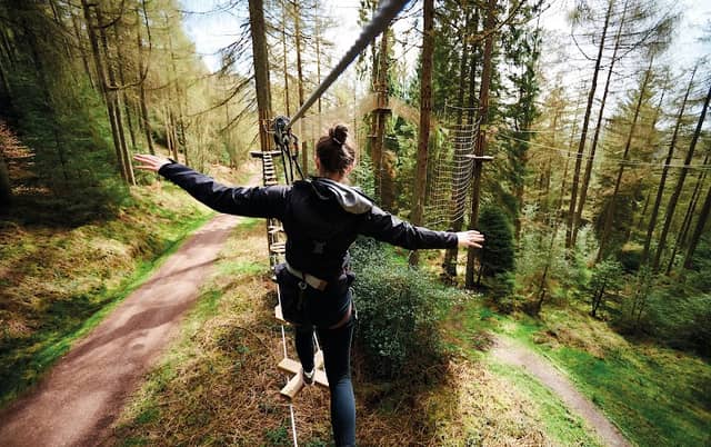Go Ape Thetford - Image 2
