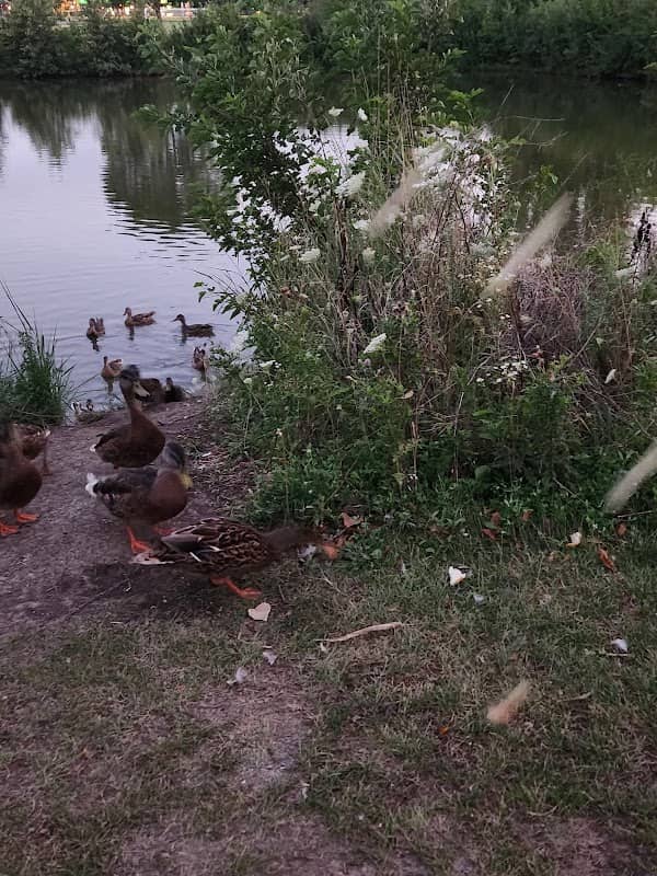Blue Park - Image 1