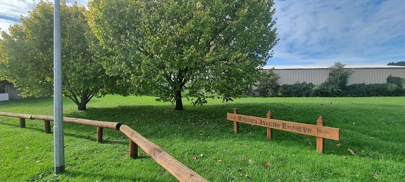Manawa Avenue Recreation Reserve - Image 2