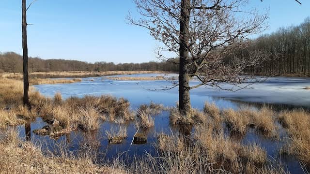 Grondwatermeter - Image 2