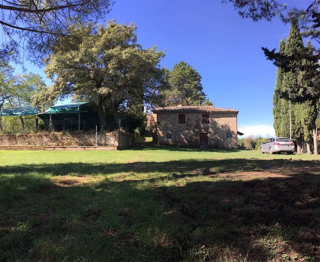 Parnacciano - Image 1