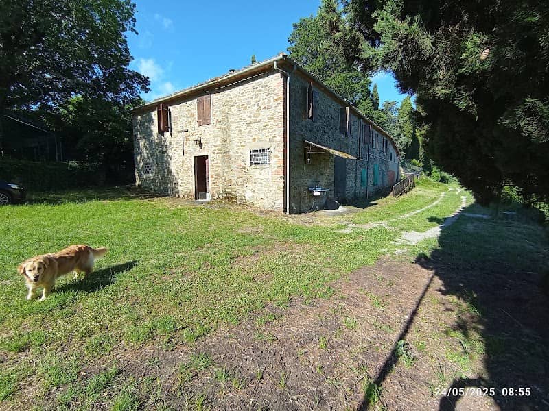 Parnacciano - Image 2