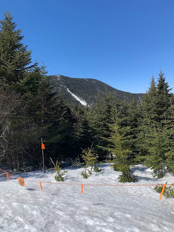 Cutts Peak Slide - Image 1