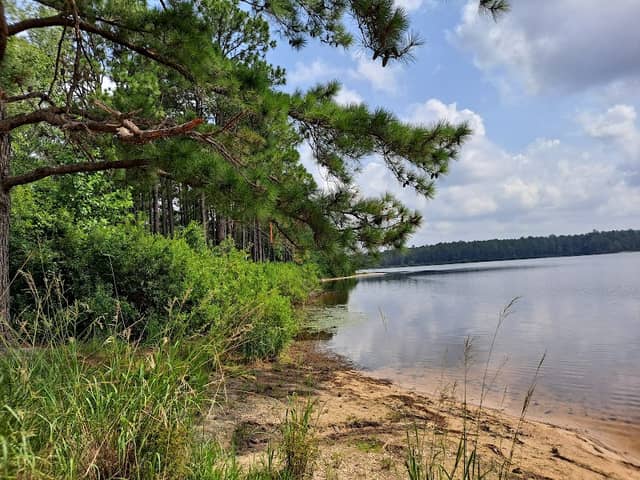 Mott Lake at Fort Bragg - Image 1