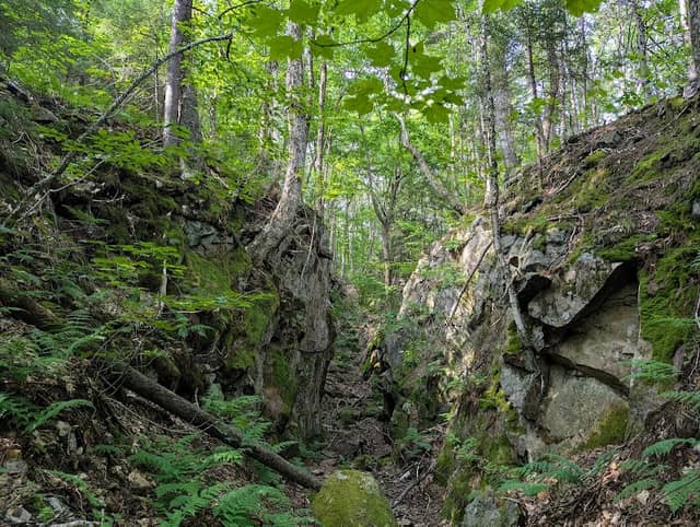 Pierce Lead Mine Trail - Image 1