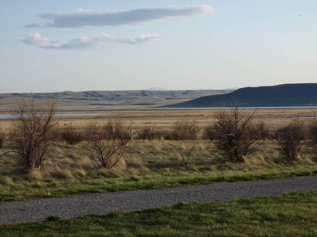 Freezout Lake Wildlife Management Area - Image 3