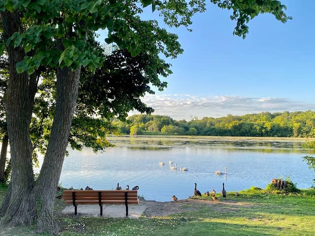 Gallup park playground - Image 2