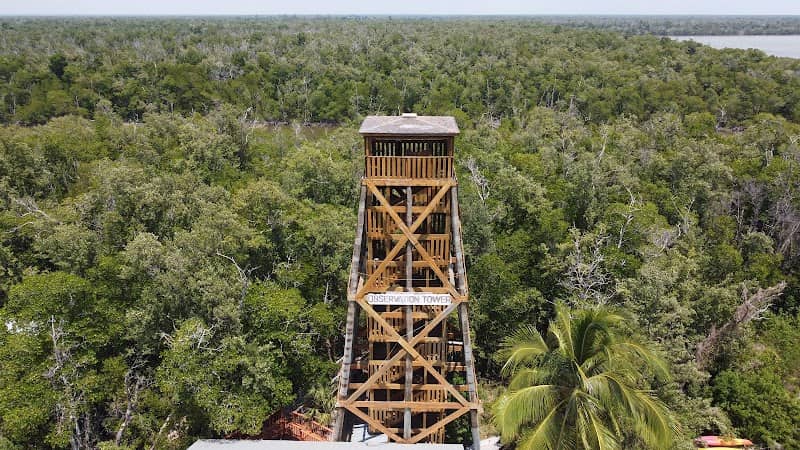 Ernest Hamilton Observation Tower - Image 2