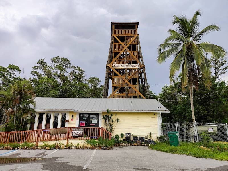 Ernest Hamilton Observation Tower - Image 3