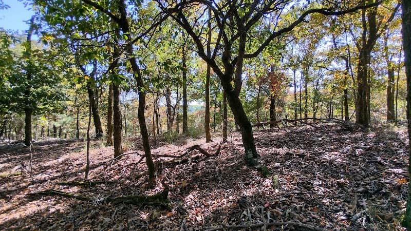 Scenic Overlook - Image 2