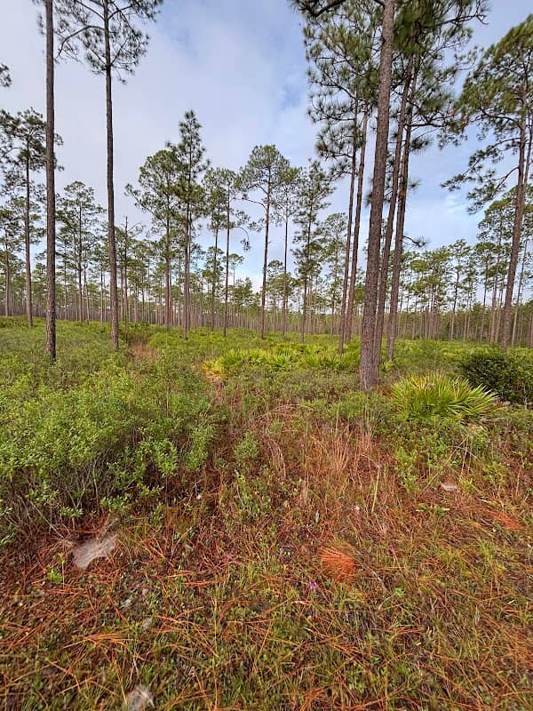 Phernetton Trailhead - Image 3
